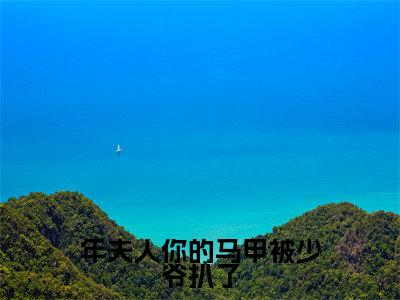 小说《年夫人你的马甲被少爷扒了》全文免费阅读无弹窗-年夫人你的马甲被少爷扒了（年景骁叶枳夏）小说全文在线赏析_笔趣阁