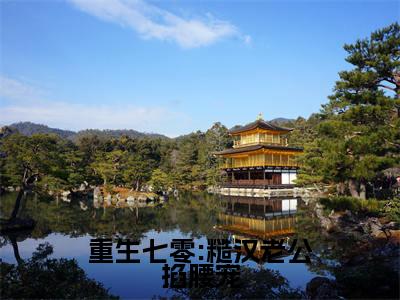 【新书】《重生七零:糙汉老公掐腰宠》全文免费阅读无弹窗大结局-林清屏顾钧成全文全章节免费阅读