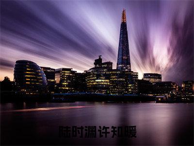 陆时渊许知暖小说最新试读_许知暖陆时渊是（陆时渊许知暖全文完整版免费阅读）_笔趣阁