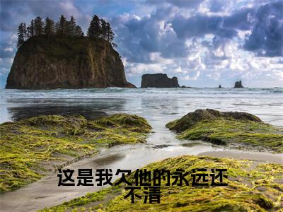 周凛秦南星（这是我欠他的永远还不清）全文在线阅读无弹窗大结局_（这是我欠他的永远还不清）最新章节列表_笔趣阁