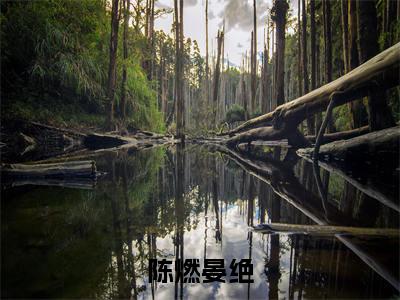 陈燃晏绝全文（陈燃晏绝）全文免费阅读无弹窗大结局_陈燃晏绝免费最新章节列表_笔趣阁