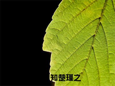 楚瑾之叶知知（叶知知楚瑾之）最后结局如何-最火热点小说叶知知楚瑾之最新更新