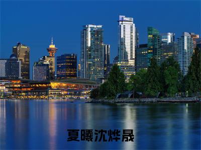 沈烨晟夏曦小说（夏曦沈烨晟）全文免费阅读无弹窗大结局_夏曦沈烨晟最新章节列表_笔趣阁（沈烨晟夏曦）