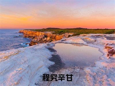 程究辛甘（程究辛甘）全文免费阅读无弹窗大结局_程究辛甘（程究辛甘最新章节在线阅读）_笔趣阁