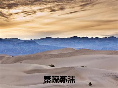 秦琛苏沫秦琛苏沫小说全文免费阅读无弹窗大结局_（秦琛苏沫）最新章节列表笔趣阁
