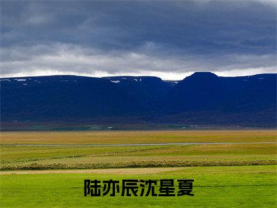 沈星夏陆亦辰（陆亦辰沈星夏）小说在线阅读_沈星夏陆亦辰全本免费小说阅读大结局（陆亦辰沈星夏）