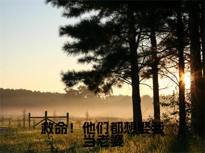 救命！他们都想娶我当老婆（桀狼曲昭昭）全文免费读无弹窗大结局_救命！他们都想娶我当老婆免费阅读全文大结局最新章节列表