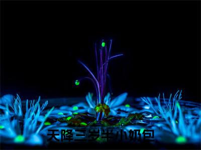 天降三岁半小奶包（任诺）全文免费阅读无弹窗大结局_天降三岁半小奶包热门小说最新章节阅读