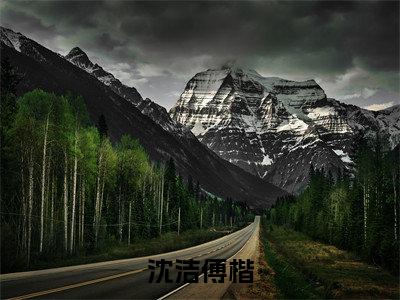 沈洁傅楷全集小说完整版大结局_傅楷沈洁完结版在线阅读