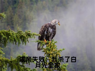 陆霜寒李天元全集小说（求亲失败：我杀了白月光全家）全文免费阅读无弹窗大结局_陆霜寒李天元最新章节列表_笔趣阁（求亲失败：我杀了白月光全家）