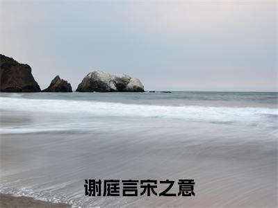 谢庭言宋之意小说全文免费阅读-谢庭言宋之意最新章节列表免费阅读