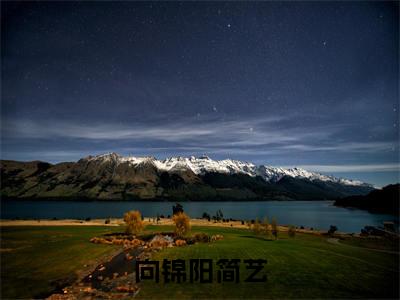 向锦阳简艺在线阅读全文免费阅读无弹窗大结局_简艺向锦阳最新章节列表_笔趣阁