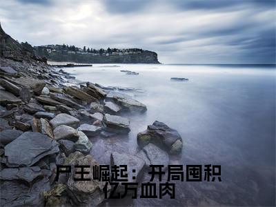 尸王崛起：开局囤积亿万血肉免费阅读（武烨）完整版全文全章节阅读