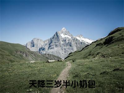 任诺（天降三岁半小奶包）全文免费阅读无弹窗_任诺最新小说_笔趣阁（天降三岁半小奶包）