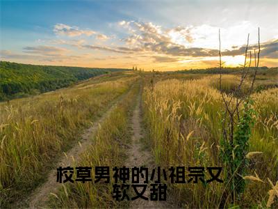 许晟林芯全文全文免费阅读_校草男神的小祖宗又软又甜全文最新章节列表笔趣阁（许晟林芯）