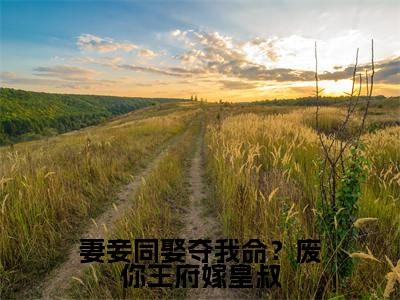 沈天娇龙乘风在哪免费看沈天娇龙乘风结局是什么（妻妾同娶夺我命？废你王府嫁皇叔）小说无弹窗免费阅读