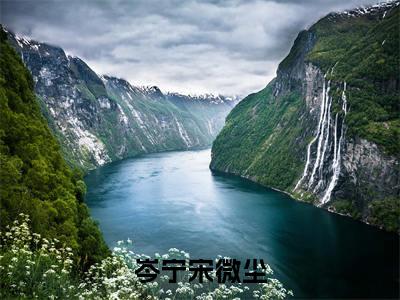 岑宁宋微尘小说（宋微尘岑宁）全文免费阅读无弹窗_岑宁宋微尘小说_笔趣阁