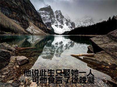 他说此生只娶她一人，可他食言了徐晚凝徐晚凝陈靖廷全文免费阅读_他说此生只娶她一人，可他食言了徐晚凝无弹窗最新章节