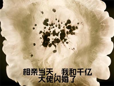 相亲当天，我和千亿大佬闪婚了小说全文免费阅读无弹窗大结局_相亲当天，我和千亿大佬闪婚了安暖最新章节列表_笔趣阁（相亲当天，我和千亿大佬闪婚了）