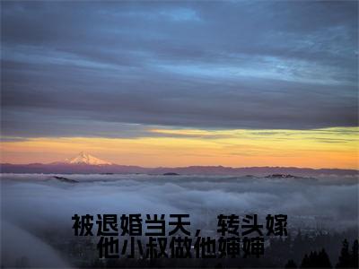 被退婚当天，转头嫁他小叔做他婶婶全文免费阅读无弹窗大结局_（被退婚当天，转头嫁他小叔做他婶婶）傅庭堔盛云云最新章节列表_笔趣阁