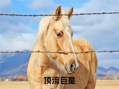 邵阳的小说免费阅读（顶流巨星小说免费阅读）全文免费阅读大结局-顶流巨星热门榜单好书推荐