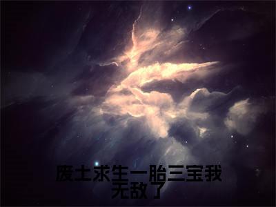 废土求生一胎三宝我无敌了全文（麦芒小说）全文免费阅读无弹窗大结局_废土求生一胎三宝我无敌了免费最新章节列表_笔趣阁（麦芒小说）