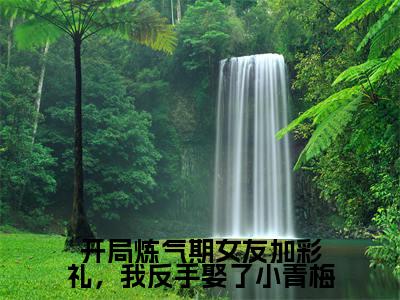 徐明浩今日更新最新章节开局炼气期女友加彩礼，我反手娶了小青梅在线阅读