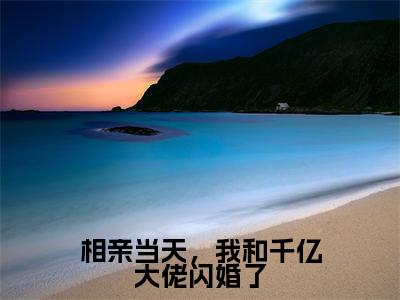 相亲当天，我和千亿大佬闪婚了全文（安暖小说）全文免费阅读无弹窗大结局_相亲当天，我和千亿大佬闪婚了免费最新章节列表_笔趣阁（安暖小说）