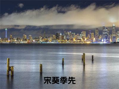 宋葵季先（宋葵季先）全文免费阅读无弹窗_宋葵季先最新小说_笔趣阁
