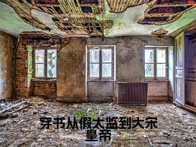穿书从假太监到大宋皇帝小说讲的是什么-苏源精彩章节目录观看