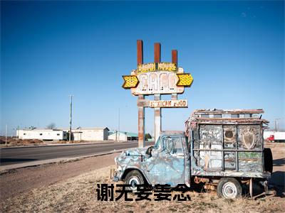 姜念谢无妄小说（谢无妄姜念）全文免费阅读-姜念谢无妄精彩章节在线阅读