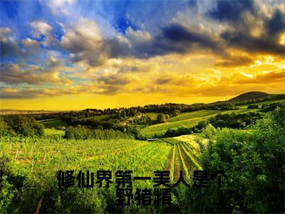 姜向晚小说全文（修仙界第一美人是个野猪精）在线阅读-姜向晚全文免费阅读无弹窗大结局（姜向晚后续+免费）