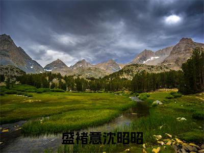 盛褚意沈昭昭精选热门好书-盛褚意沈昭昭（沈昭昭盛褚意）全文无删减版在线阅读