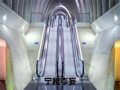 宁稚岑妄小说全文免费阅读（宁稚岑妄）全文免费阅读无弹窗大结局_宁稚岑妄最新章节列表