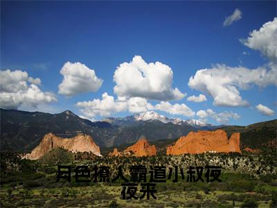 商酌言萧染（月色撩人霸道小叔夜夜来全文免费阅读）_商酌言萧染小说最新章节免费阅读