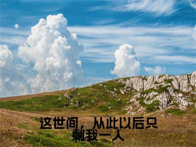 这世间，从此以后只剩我一人小说（沈知星段渠）最新章节阅读-这世间，从此以后只剩我一人（沈知星段渠）免费阅读无弹窗大结局