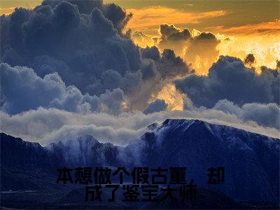 本想做个假古董，却成了鉴宝大师（梅又鼎）全文免费阅读无弹窗大结局_（梅又鼎小说免费阅读）_笔趣阁