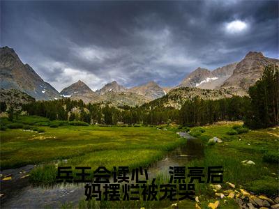 徐子矜杨胜军（兵王会读心，漂亮后妈摆烂被宠哭）在线阅读小说全文无删减-兵王会读心，漂亮后妈摆烂被宠哭小说大结局