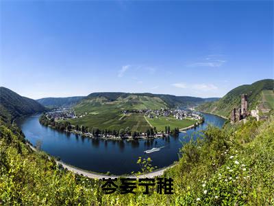 岑妄宁稚（宁稚岑妄）全文免费阅读无弹窗大结局_宁稚岑妄最新章节列表