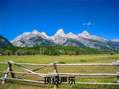 顶级声乐全文小说（林枫）在线阅读无弹窗大结局_林枫全文在线阅读无弹窗