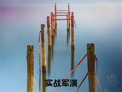 苏诚（实战军演）最火言情小说免费观看-小说实战军演（苏诚）今日已更新最新章节