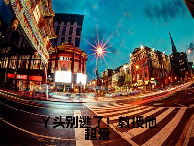 主角为谢宴宁苏绾晚的小说-丫头别逃了！教授他超爱（谢宴宁苏绾晚）全文完整版阅读