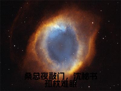 桑总夜敲门，沈秘书孤枕难眠（沈明月桑时）完结版小说-桑总夜敲门，沈秘书孤枕难眠小说全文免费阅读笔趣阁