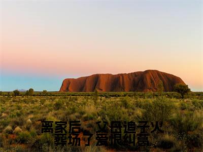 许默谢冰艳小说（离家后，父母追子火葬场了爱恨纠葛已完结小说全集完整版大结局）离家后，父母追子火葬场了爱恨纠葛小说全文阅读笔趣阁