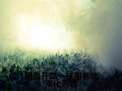 网游开局一张图我能演化万物（叶枫）全文免费阅读无弹窗大结局_（网游开局一张图我能演化万物）已完结全集大结局小说