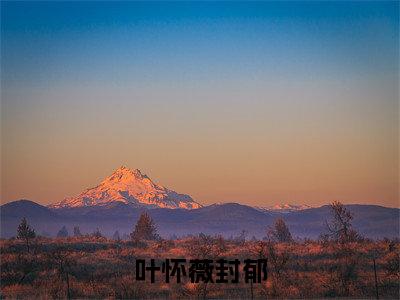 叶怀薇封郁（叶怀薇封郁）完结版小说-叶怀薇封郁小说全文免费阅读笔趣阁