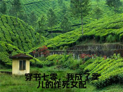 穿书七零，我成了卖儿的作死女配（许诺宋应星）全文在线阅读无弹窗_穿书七零，我成了卖儿的作死女配小说全文大结局
