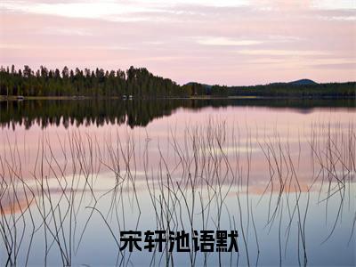 小说宋轩池语默完整版在线阅读池语默宋轩精选小说推荐试读