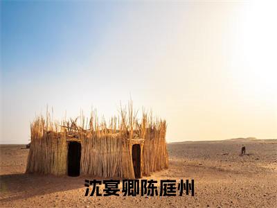 陈庭州沈宴卿快手小说（沈宴卿陈庭州）txt阅读大结局-抖音近期热门陈庭州沈宴卿全文免费