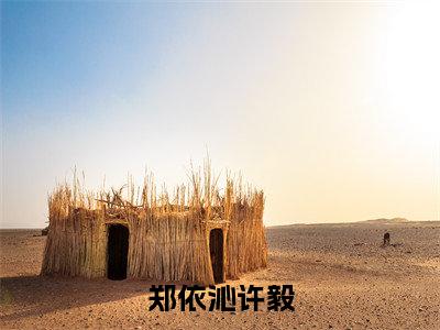 郑依沁许毅（许毅郑依沁全文免费阅读）小说最新章节_郑依沁许毅全文免费阅读最新章节列表_笔趣阁